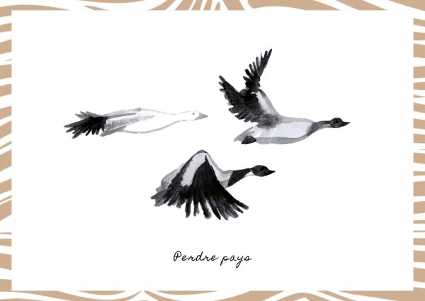 Perdre pays – Image 2